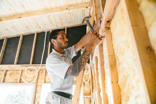 Best Attic Insulation Installation  in Progress Village, FL